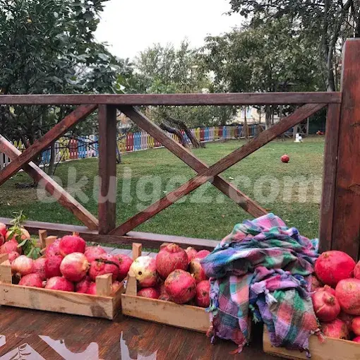 Özel Gelecek Nesil Ekoloji Anaokulu