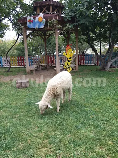 Özel Gelecek Nesil Ekoloji Anaokulu