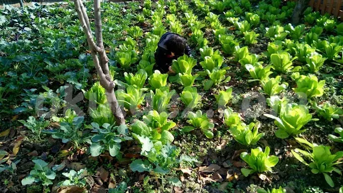 Özel Gelecek Nesil Ekoloji Anaokulu