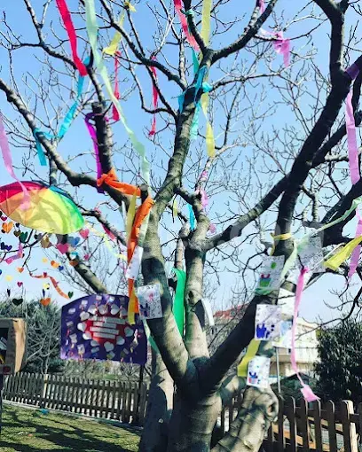 Özel Gelecek Nesil Ekoloji Anaokulu