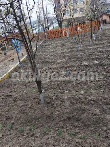 Özel Gelecek Nesil Ekoloji Anaokulu