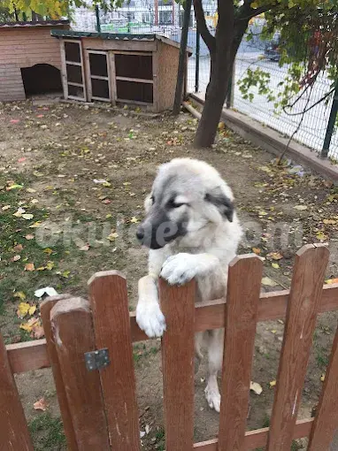 Özel Gelecek Nesil Ekoloji Anaokulu