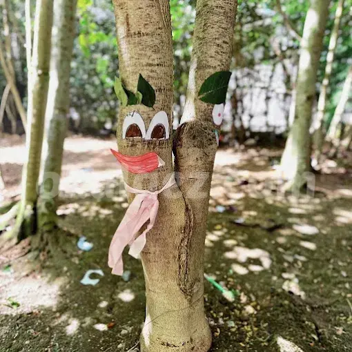 Özel İdea Sanat Anaokulları