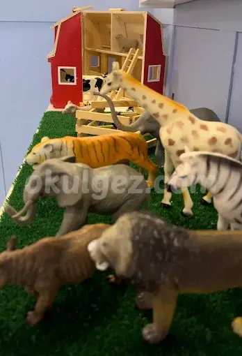 Özel İdea Sanat Anaokulları