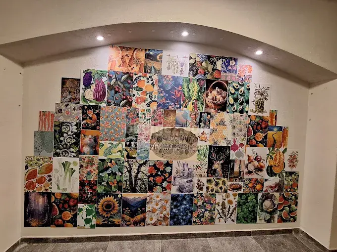 Özel Ilgaz Anaokulu