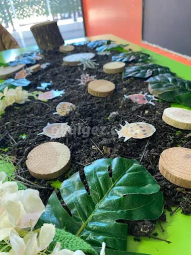 Özel Ilgaz Anaokulu