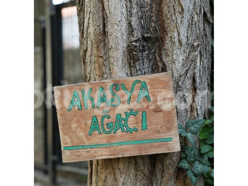 Özel Kadıköy Bilim Adası Okulları Anaokulu