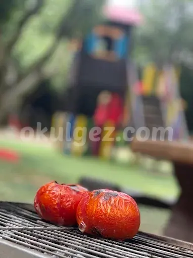 Özel Kindergarten Academy College Anaokulu