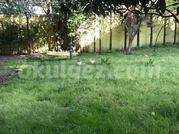 Özel Lider Çocuk Anaokulu