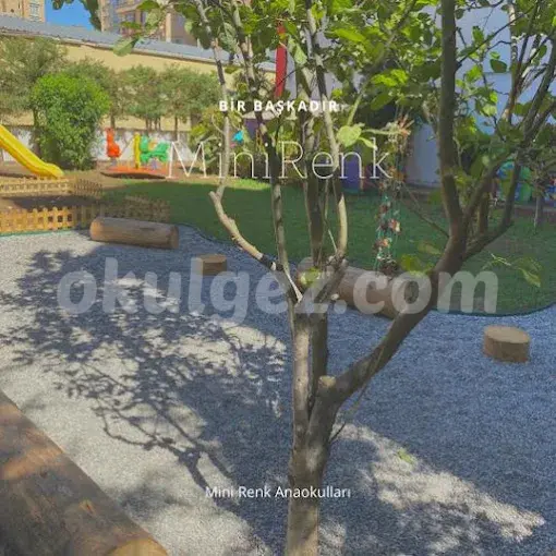 Özel Maltepe Minirenk Anaokulu