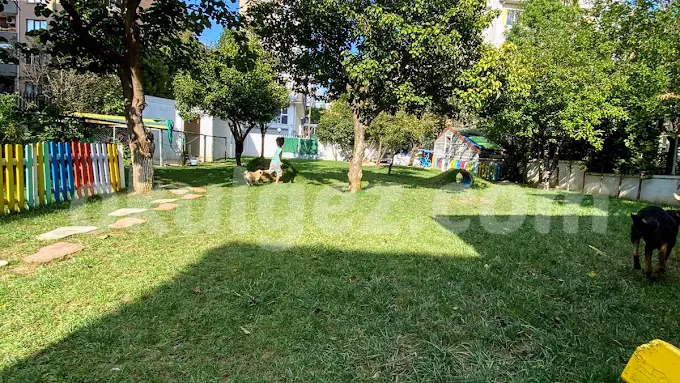 Özel Maltepe Minirenk Anaokulu