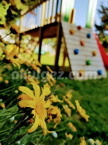 Özel Marmara Evleri Altınbahçe Anaokulu