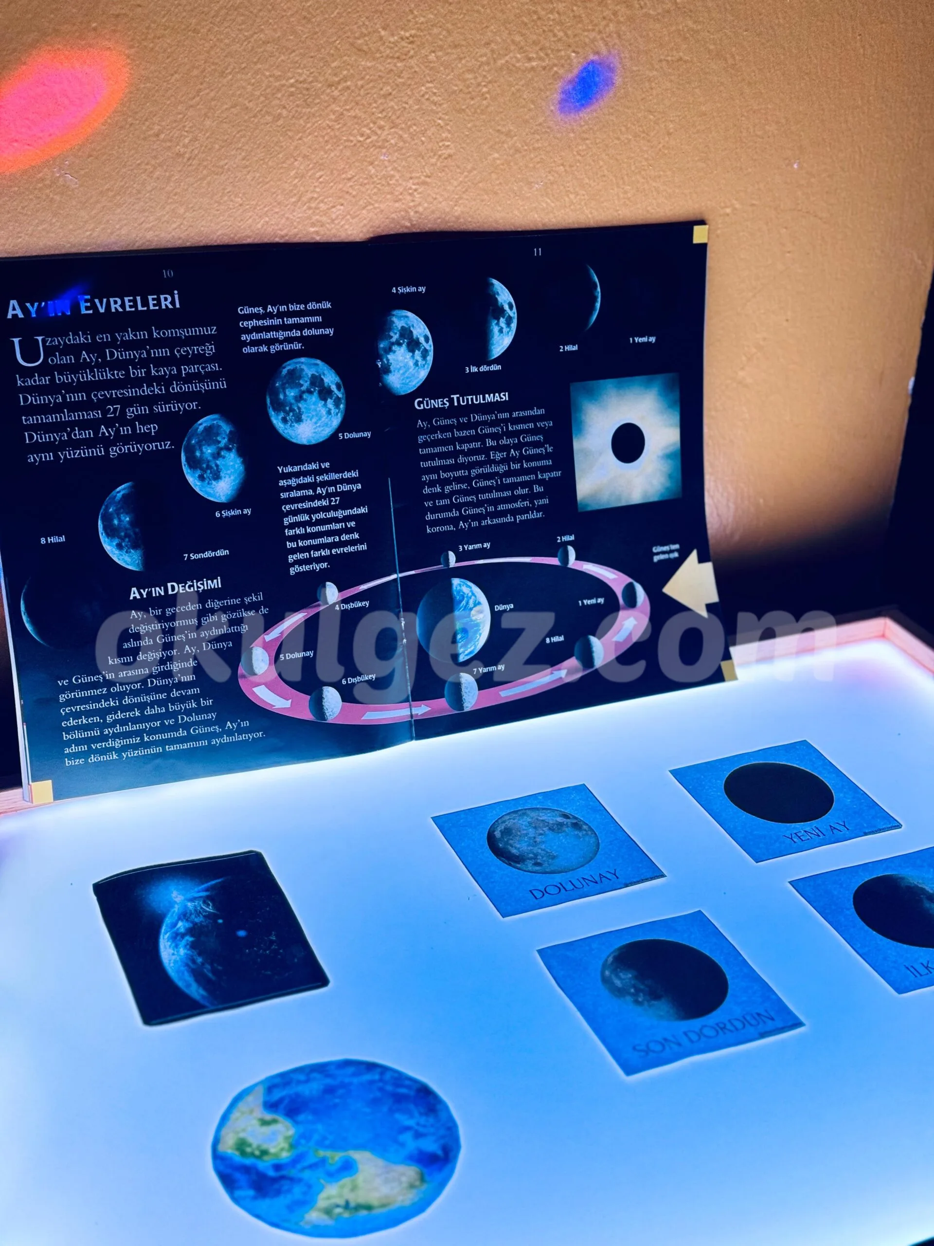 Özel Mia Akademi Anaokulu