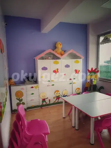 Özel Mor Çocuk Akademisi Anaokulu