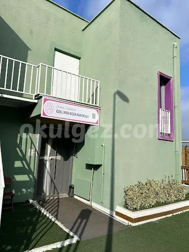 Özel Mor Koza Anaokulu