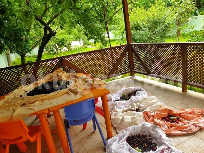 Özel NLP Kids Anaokulu