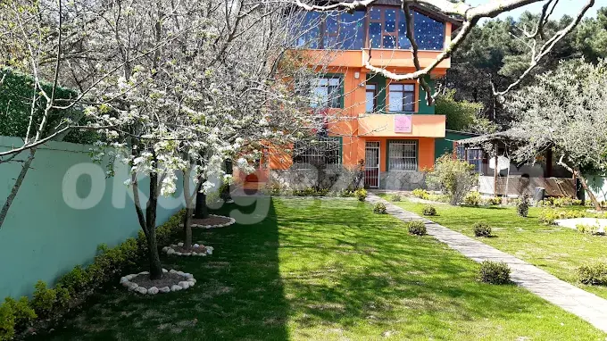 Özel NLP Kids Anaokulu