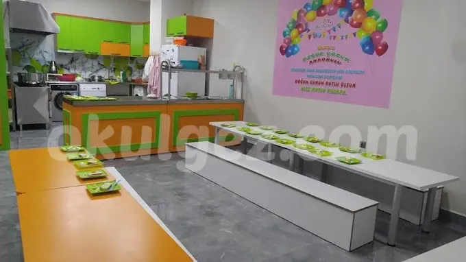 Özel Özgür Çocuk Anaokulu