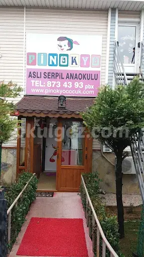 Özel Pinokyo Çocuk Anaokulu