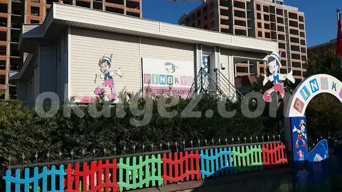 Özel Pinokyo Çocuk Anaokulu