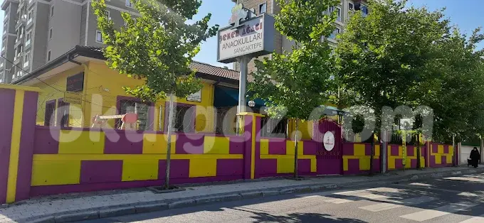 Özel Sancaktepe Şeker Ağacı Anaokulu