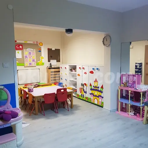 Özel Sarmaşık Anaokulu