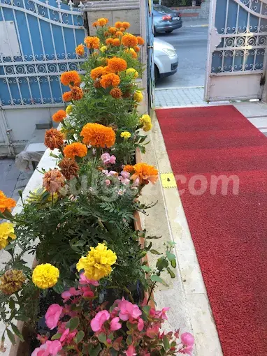 Özel Şirin Yüzler Anaokulu