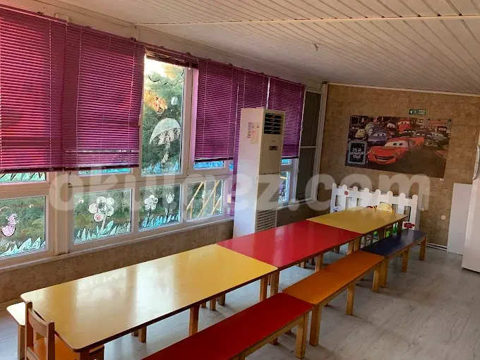 Özel Şirin Yüzler Anaokulu