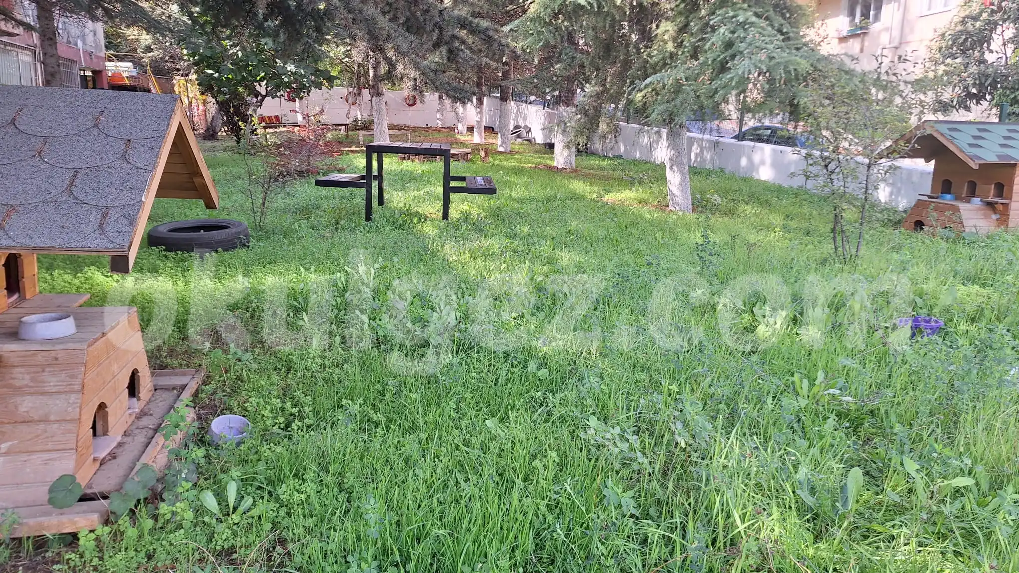 Özel Sude Gündüz Bakımevi