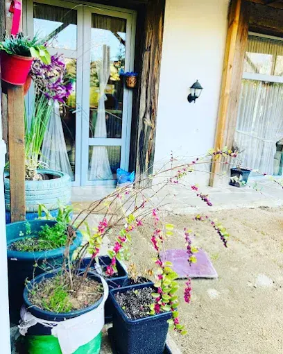 Özel TOL Anaokulu