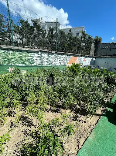 Özel Topkapı Liderim Anaokulu