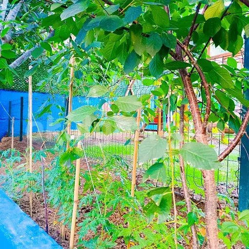 Özel Atakent Parlayan Yıldızlar Anaokulu