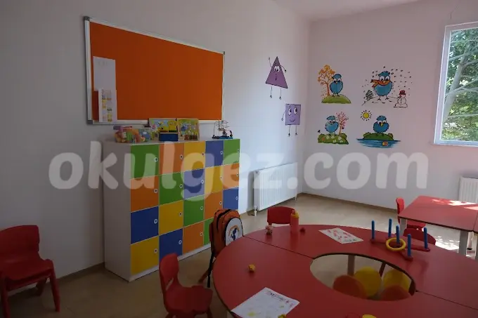 Özel Yönelim Çocuk Üniversitesi Anaokulu