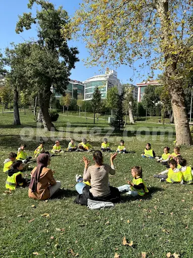 Özel Zeytin Ağacı Montessori Anaokulu